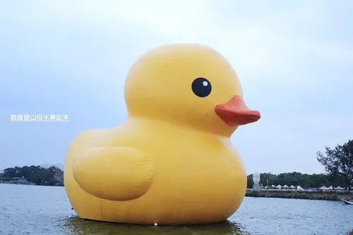 2013-10-26 桃園地景廣場藝術節看黃色小鴨