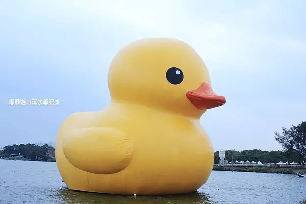 2013-10-26 桃園地景廣場藝術節看黃色小鴨