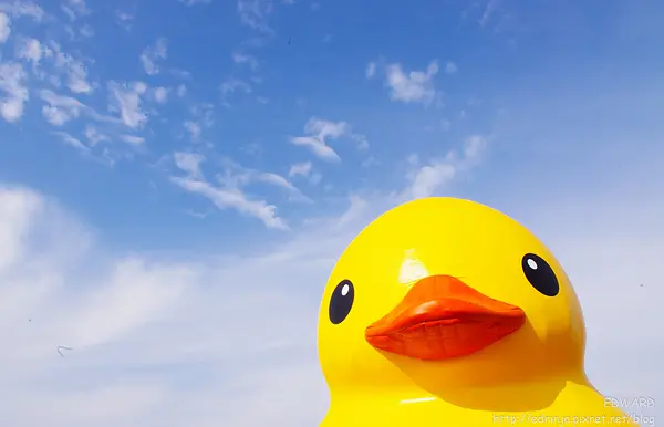 [遊記]桃園新屋- 桃園地景藝術節 進擊的巨大黃色小鴨