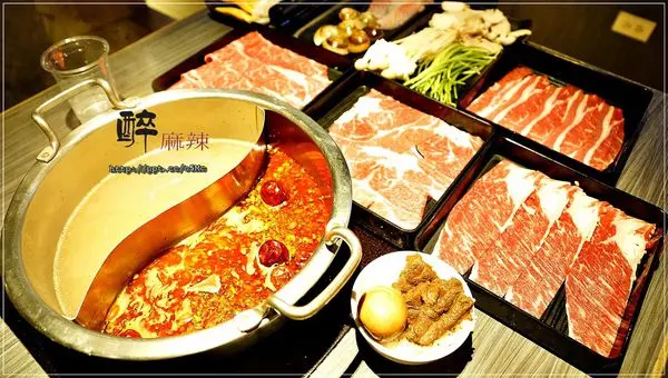 【醉麻辣】國父紀念館捷運美食～麻辣火鍋吃到飽，安格斯無骨牛小排／鮑魚，任你吃到爽