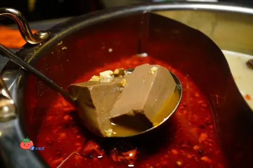 【台北美食】東區麻辣鍋吃到飽推薦 我也是醉了！醉麻辣 現切頂級牛肉 手工三記魚餃 20種以上蔬菜 啤酒免費暢飲 