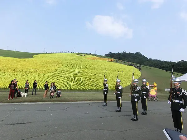 基隆「擁恆文創園區」10萬支風車化身超大萌小鴨.黃色小鴨繼續拍