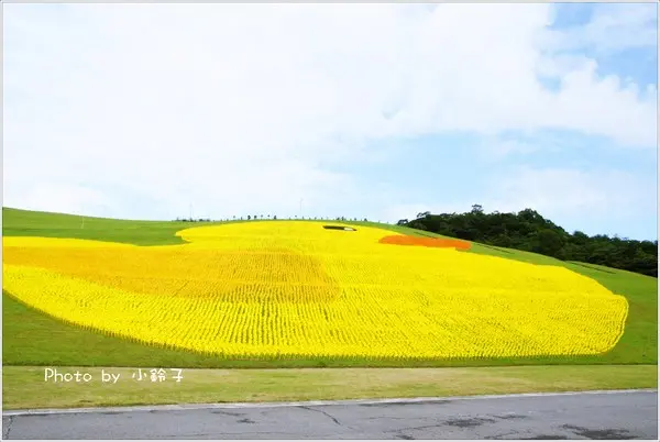 基隆「擁恆文創園區」超大風車版黃色小鴨        
      
