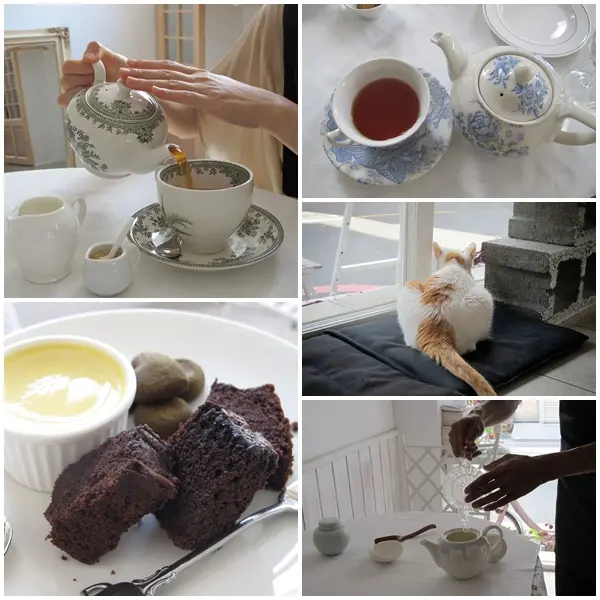 『台南』公主茶園