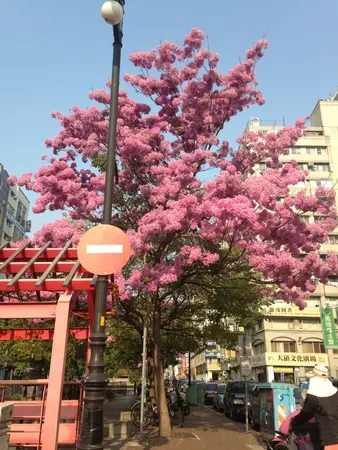 [台中] 台中公園&秋紅谷 散散步