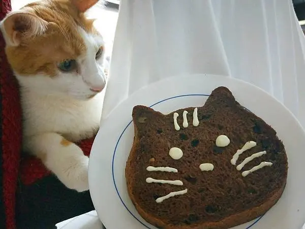 美食【中正區。愛天空烘培屋】貓咪吐司 ねこねこ食パン｜超萌禮盒組｜原味+巧克力核桃口味+貓屋