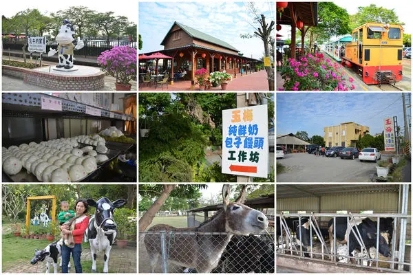 【親子旅行】柳營牧場親子小旅行~一日遊建議行程@『乳牛的家』、『八老爺牧場』、『玉梅鮮乳包子饅頭工作坊』