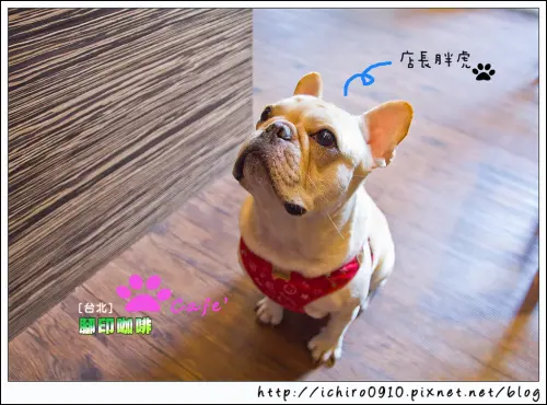 [食記]【新蘆線中山國小站】腳印咖啡。享受清新慢活”食”光