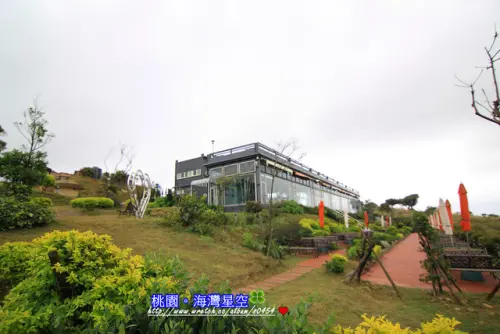 【桃園蘆竹】看飛機賞夜景ღ海灣星空★慶祝聖誕節