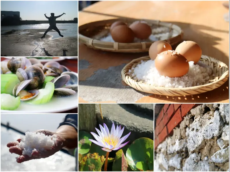 【台南北門】井仔腳一日遊｜濕地秘境漫遊 生態導覽 自行車道