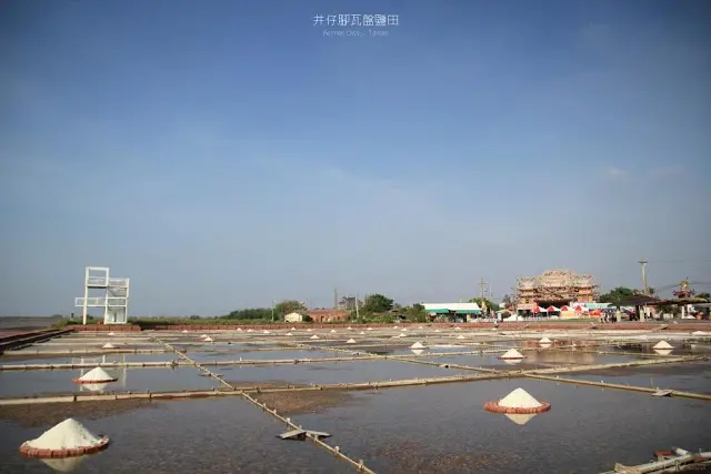 台南。北門。沿海地帶原地徘徊的白 / 井仔腳瓦盤鹽田