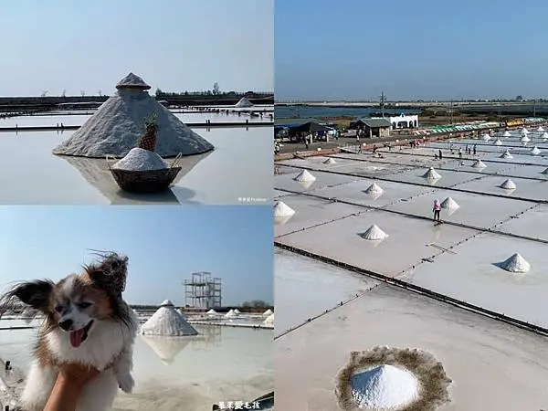 探訪目前台灣最古老的井仔腳瓦盤鹽田，體驗往日曬鹽的艱辛  欣賞一座又一座堆疊出來的小鹽山之美  親子寵物友善　毛孩不限大小　最少牽繩及可