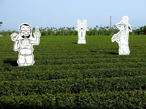 【南投】茶園如畫般的祕境。不藏私另類新景點❤茶二指故事館