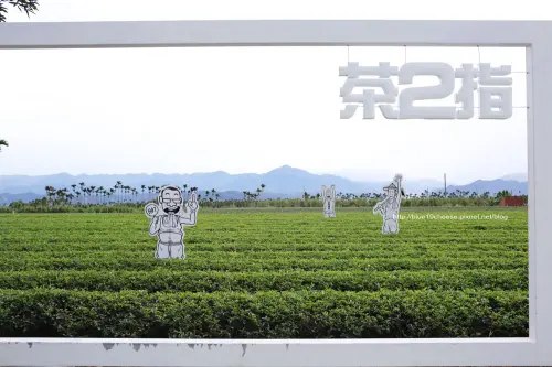南投 茶二指&星月天空 - 可以溜小孩的半日行程 XD