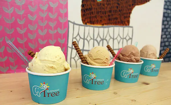 [台南]夏日的小確幸 小象樹義式冰淇淋