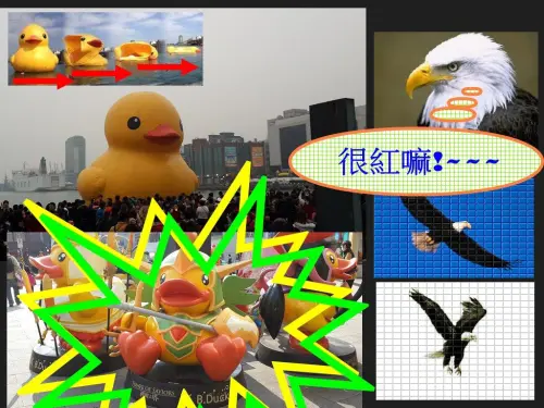 【X檔案】破解鴨兇手，拯救鴨鴨大作戰! 全副武裝，火力全開~~~