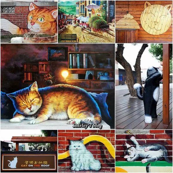 雲林虎尾‧屋頂上的貓