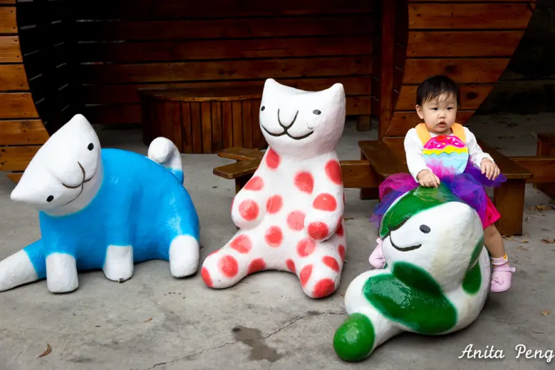 【玩樂．雲林】來找貓兒玩耍喔～虎尾屋頂上的貓彩繪村