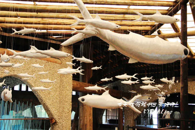 [ 台南⊙安平] 虱目魚主題館有可愛超萌貓兒和空中虱目魚.