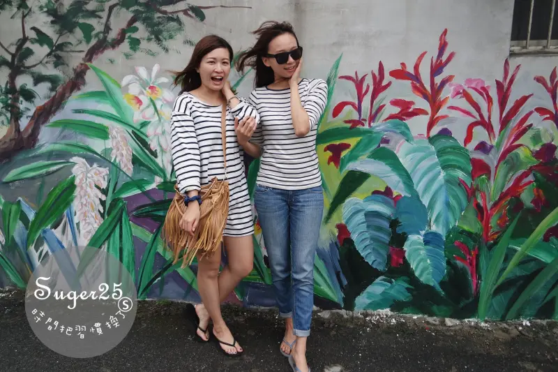 [旅遊]桃園也有彩繪村**二訪**//坑口藝術彩繪村//免費景點~好拍照，好好玩--桃園蘆竹