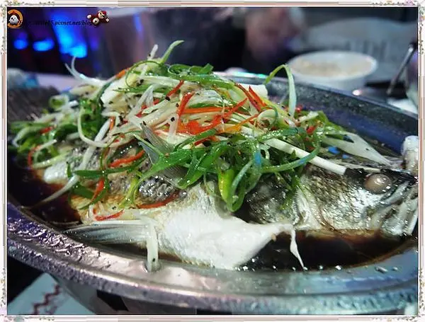 飛魚音樂餐廳  台南少見的樂團駐唱餐廳