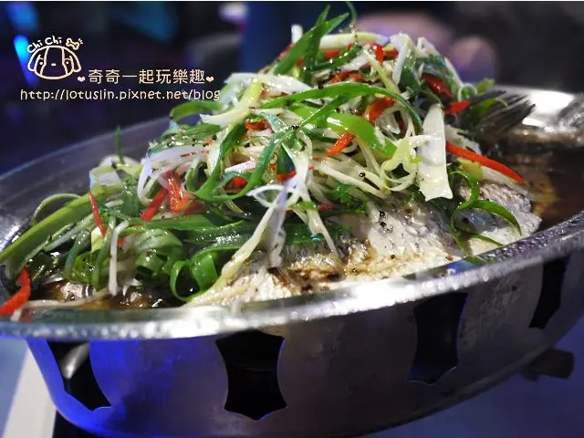 【試-分享】台南 飛魚音樂餐廳 LIVE BAND SHOW