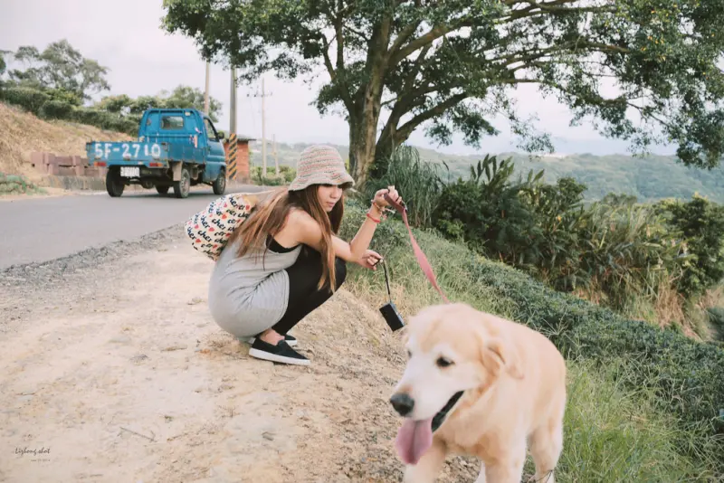 小狗的好自在午後茶園散策