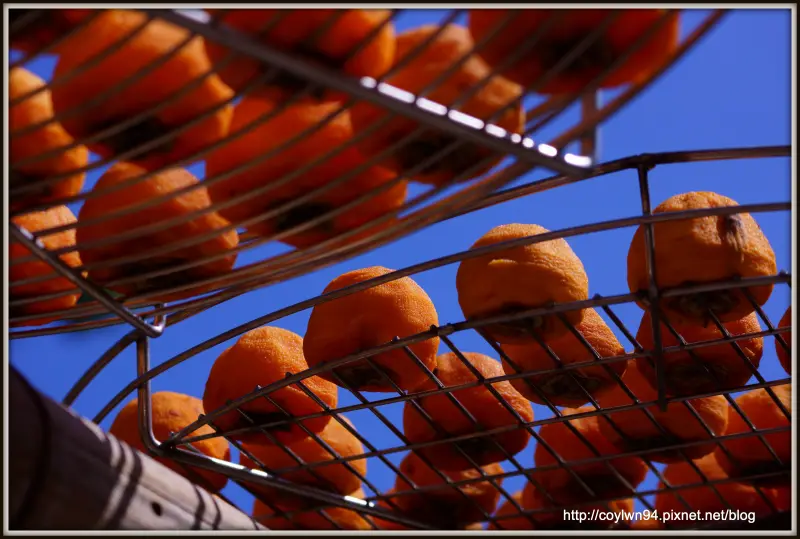 秋收柿飄香~味衛佳柿餅觀光農場