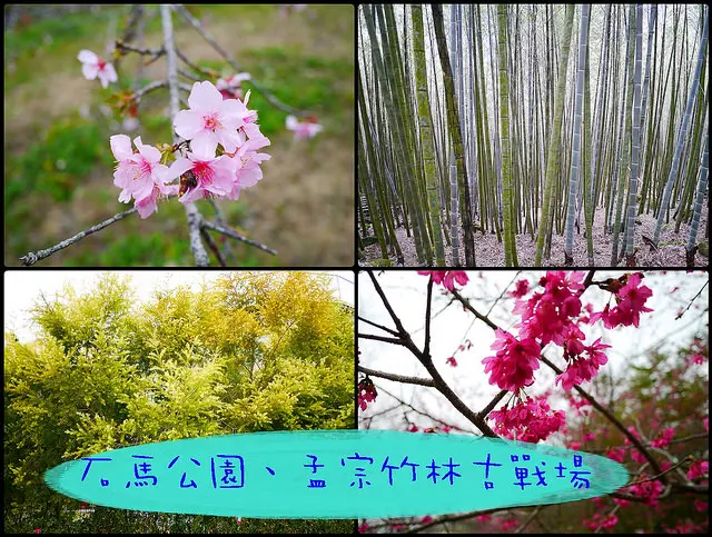 ☞【南投 鹿谷】小半天風景區～石馬公園、孟宗竹林古戰場、長源圳生態步道，溪頭一日遊、兩日遊推薦景點！！