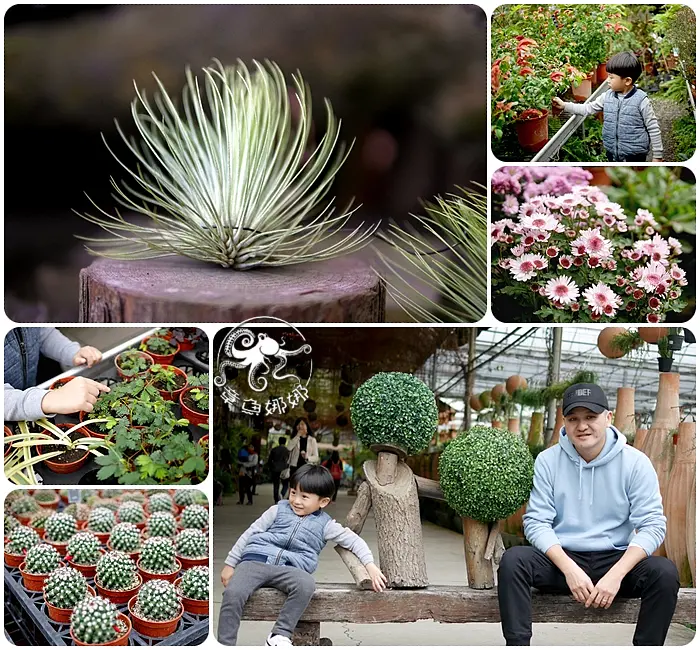 台北室內景點/雨天備案【台北花卉村】賞花景點；免費入場參觀！都市中的美麗花園，結合婚宴會場、花藝、咖啡廳、單車棧、卡丁車！