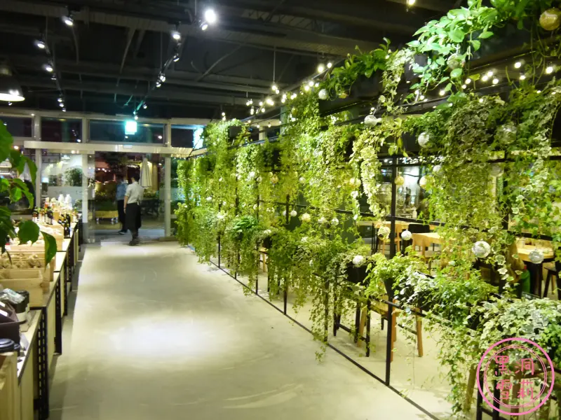 ★窩客島★ 綠意盎然之很愛收盤子的菠啾花園 ⊙08Jan14⊙