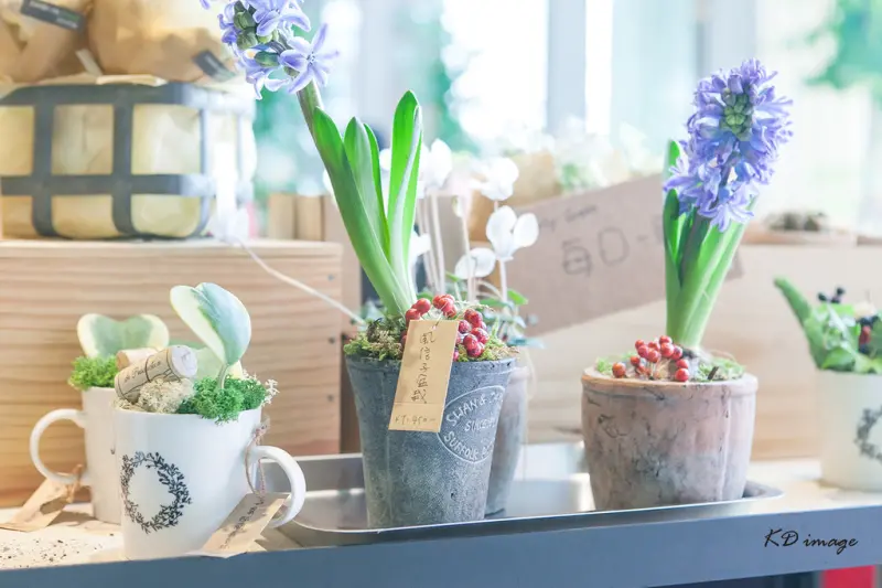 【台北‧美食】菠啾花園──療癒系綠色空間