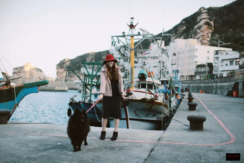 北海岸溜狗半日記趣