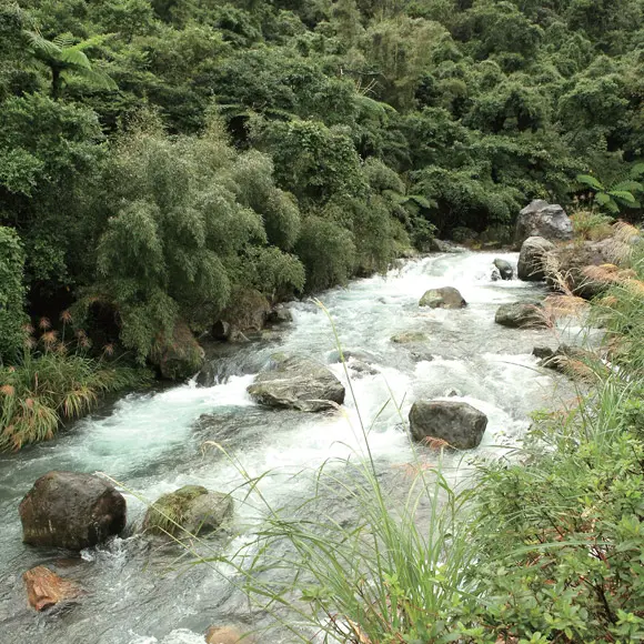員潭溪親水公園
