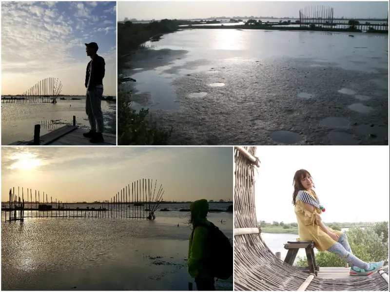 【雲林口湖】成龍溼地│日落美景的水鳥天堂