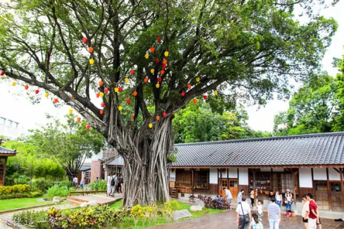 【台中景點】道禾六藝文化館。在日式建築裡,尋找舉手可得的美麗風景