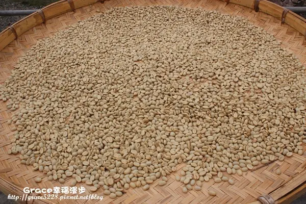 南投埔里阿嫁婆咖啡築屋---自然農法栽植有機咖啡,喝起來是甘醇順口～ 