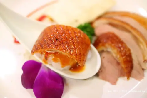 【宜蘭住宿】城市商旅礁溪楓葉館｜櫻桃鴨套餐&溫泉湯屋美人湯