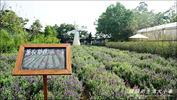 【苗栗／三義】獨特奇景～泰臉水池♪♪ 雅聞香草植物工廠♪♪                
      