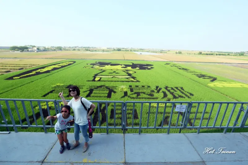【台南後壁區】台南美食節系列活動，稻米小學堂！走入後壁區，看見不一樣的農村生活|海豚男稻田彩繪|富貴食堂