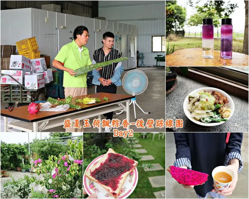 盛夏玉荷飄粽香-後壁踩線團(day2)：兩天一日深度遊台南後壁區、番社蔬果聯盟、無米樂米食館｜中華醫事科技大學108USR工作坊-公辦活動/中華醫大大學社會責任實踐計畫 - 進食的巨鼠