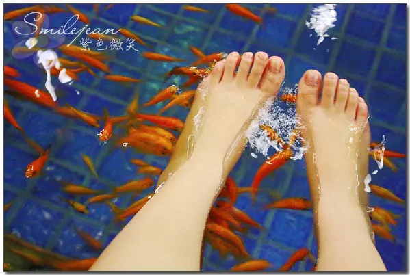 [溫泉]宜蘭礁溪+山泉飯店 溫泉魚SPA