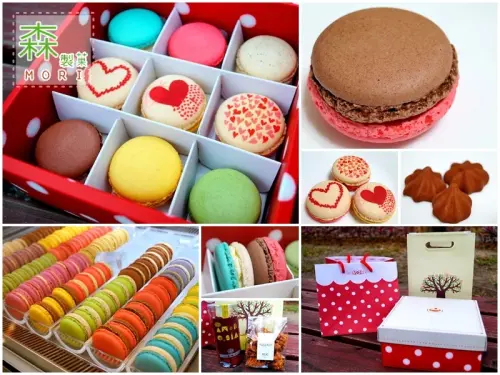 台中北區│森製菓。超犯規!!浪漫爆表的馬卡龍再進化!!!(中友百貨專櫃)