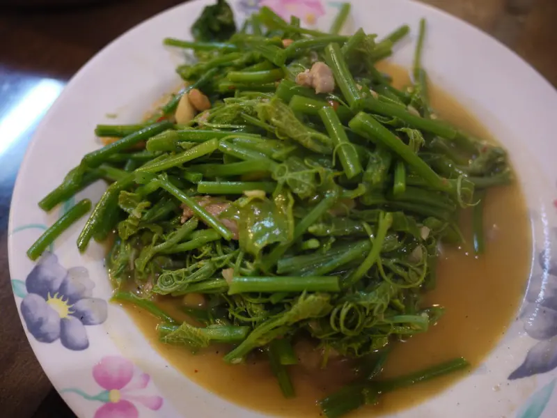[食記。北部]台北陽明山|山水香田園餐廳。竹子湖的必選餐廳