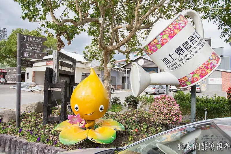 【遊記】｛台東。池上鄉｝稻米首都金色豐收~池上農會四季花海