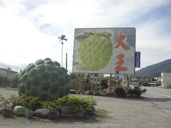 1020104[禮官三小愛台灣]台東太麻里大王釋迦好吃的臺東名產釋迦會讓佛祖愛跳舞