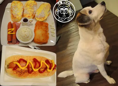 呷飽祙【新北板橋･西洋風咖啡館】療癒店長底家啦        
      