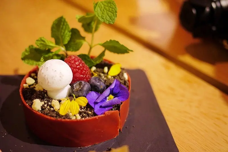 【台北】咖啡瑪榭~吸睛度破表的盆栽提拉米蘇~