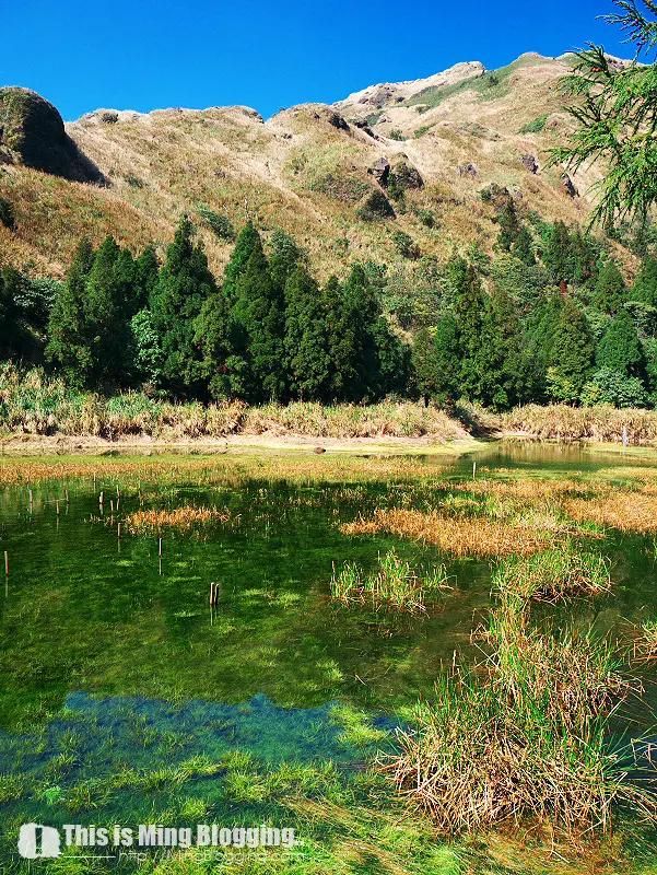 【台北北投│遊記】12小時北北基疾走--3.美麗的陽明山夢幻湖