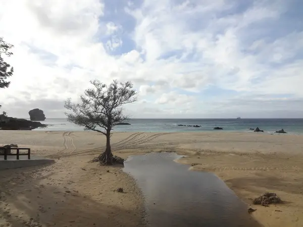 1020104[禮官三小愛台灣]船帆石像一顆人頭在海上看小橋流水平沙